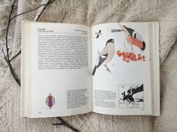 Songbirds vintage book, birds prints, birds illustrations, birds for ephemera, 1986