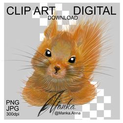 Squirrel Clipart PNG Illustration Animal Head digital art