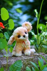 ON ORDER Puppy Michi dog, dogs, dog love, baby dog, hobby, puppy, small dog, dog coccy, decor, homedecor teddy dog