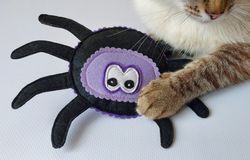 Catnip cat toy spider