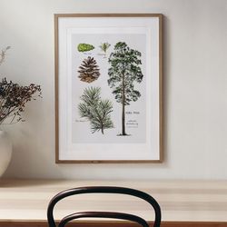 Vintage Botanical Illustration, Scandi Tree illustration, Tree Botanical Art, Forest Botanical Print
