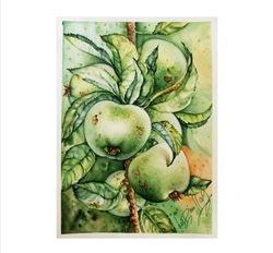 Still Life With Green Apples Original Water Color Painting on Watercolor Paper Original Fruits Wall Art