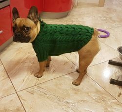 Dog clothes,dog sweater, French Bulldog clothes, Pug clothes, Pug sweater, French Bulldog sweater, French Bulldog, pug