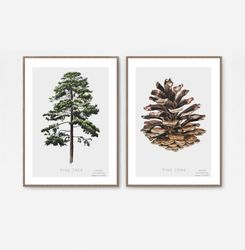 Set of 2 posters, watercolor botanical illustrations DIGITAL