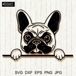 Frenchie svg, Dog face svg file, French bulldog svg Puppy Pup Pet portrait Vector Frenchie Cut file Cricut Silhouette #3