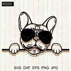 French bulldog with sunglasses SVG, Frenchie Dog face Pup Pet portrait Vector Frenchie Cut file Cricut Silhouette #5