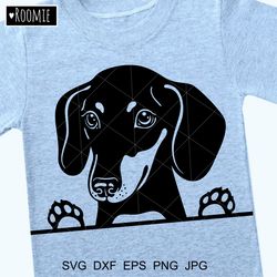 Dachshund boy Dog svg file, Dachshund lovers gift, Badger dog shirt design Cut file Cricut Silhouette, Memorial love #17
