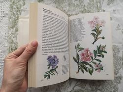 Plants of lawn, forests, fields, meadows, vintage botanical book, alp flowers illustration handbook, 1989