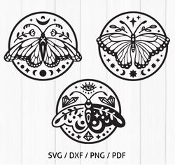 Celestial Butterfly SVG cut files bundle