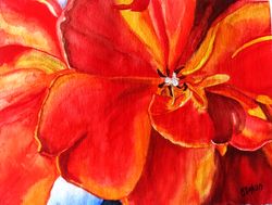Tulip Painting 12" by 16" Floral Watercolor Texas Original Art Tulip  Red Flower Above Sofa Art