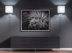 Flower Photography, Printable Digital download, Floral Wall Art, Wall Decoration, Black & White Art, Living Room Print