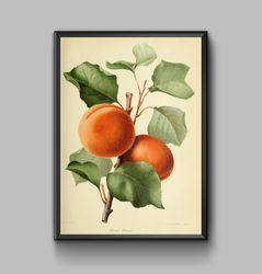 Vintage poster peach, digital download