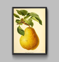 Vintage poster pear, digital download