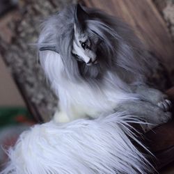 Fantasy wolf toy. Wolf spirit doll to ORDER. OOAK doll. White black fur art wolf. Northern creature for collection.