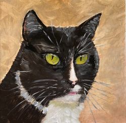 Black cat original oil painting animal home portrait