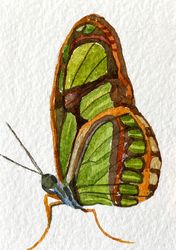 ACEO watercolor original art butterfly Card Miniature Home decor wall decor aceo painting 2.5x3.5 inches