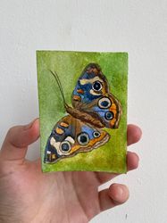 ACEO watercolor original art butterfly Card Miniature wall decor aceo painting animal art 2.5x3.5 inches gift