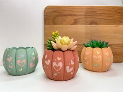 Small cactus and succulent pot with drainage | Little cement planter | Plant pot with saucer | House cute cache pot