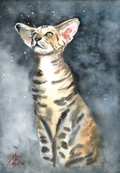 Cat Painting Pet Portrait Original Artwork Watercolor Siamese Cat Art 8" by 12" by ArtMadeIra