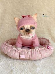 chihuahua puppy realistic toy - Shop NatalyaPushkarevaToy Stuffed