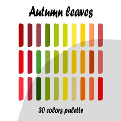 Autumn leaves procreate color palette | Procreate Swatches
