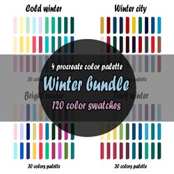 Winter bundle procreate color palette | Procreate Swatches