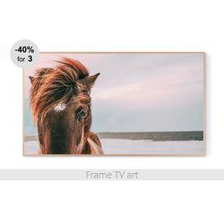 Frame TV art winter, Samsung Frame TV Art Horse, Frame TV Art Digital Download 4K, Frame TV art farmhouse nature | 377