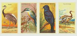 PDF Counted Vintage Cross Stitch Pattern | Birds | 3 Sizes