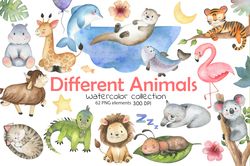 Different animals watercolor collection, Animals clipart, Exotic animals, Baby animals, Cute animals, Digital, PNG