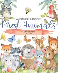 Forest Animals Watercolor Clipart, Baby animals clipart, Cute animal watercolor collection, Digital, PNG, 300 DPI