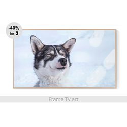 Frame TV Art Digital Download 4K, Frame TV art dog, Frame TV art farmhouse, Samsung Frame TV art winter | 244