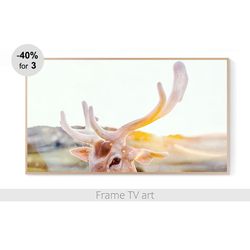 Frame TV Art Digital Download 4K, Samsung Frame TV art deer, Frame TV art farmhouse, Frame TV art animals | 246