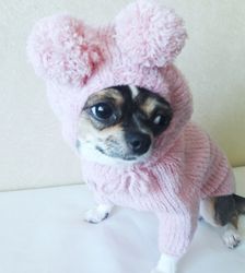Dog hoodie Teddy bear for chihuahua or other small dog.