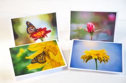note cards 4 pack, fine art, photography, blank greeting cards, with envelopes, colorful, flowers and butterflies