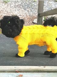 Dog jumpsuit for a small dog boy with open tummy.