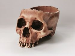 Human skull bowl, container, wiccan decor, human skull replica, skull head decor, Tabletop Decor