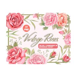 Watercolor vintage roses clipart - Dusty Pink flowers PNG