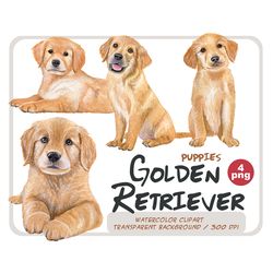 Watercolor Golden Retriever puppies clipart-Labrador png