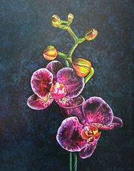 Mysterious orchid 40*50