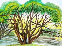 Willow trees horizontal watercolor painting