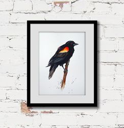 Red-winged blackbird wall art, Watercolor birds, original watercolor painting, home art, discount by Anne Gorywine