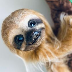 Sloth art doll teddy with polymer clay face