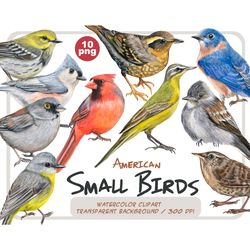 Watercolor realistic small birds clipart -American birds PNG
