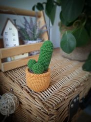 Amigurumi penis crochet pattern. Adult toy pattern. Funny crochet penis pattern. Amigurumi cactus