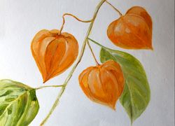 Physalis kitchen painting modern wall art Original oil painting 8x6 inches
