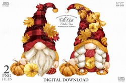 Fall gnomes clipart PNG, Autumn pumpkins, cute characters, hand drawn graphics