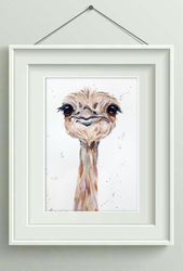 Ostrich bird 7x10 inch original watercolor art painting by Anne Gorywine