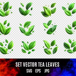 Set vector Tea leaves | Collection Tea leaves | Tea leaves Digital Art | Tea leaves designs SVG