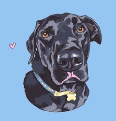 Custom Bust Dog Portrait, Personalized Dog Gift, Pet Memorial, Hand drawn digital dog art