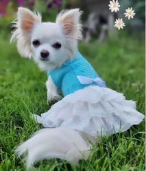 Dog dress for a small dog. Small dog clothes.